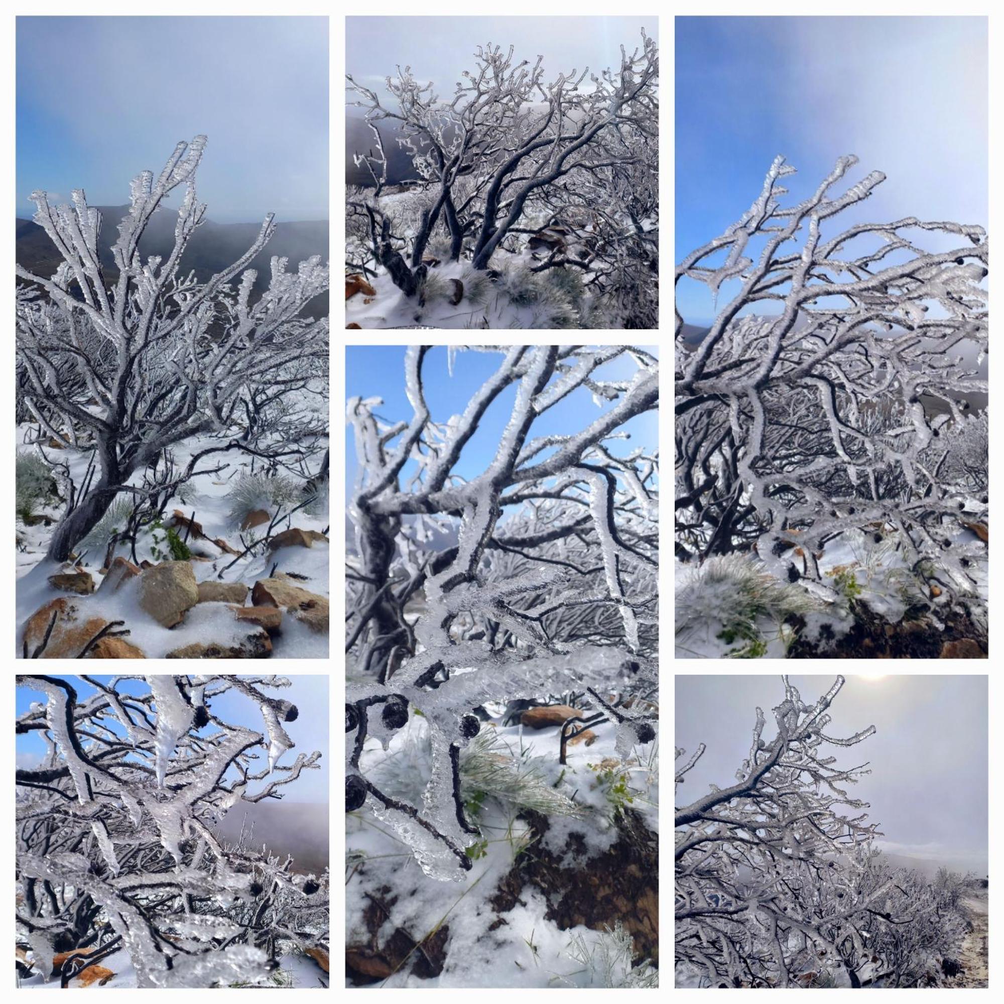 Aloe Valley Retreat Oudtshoorn Luaran gambar